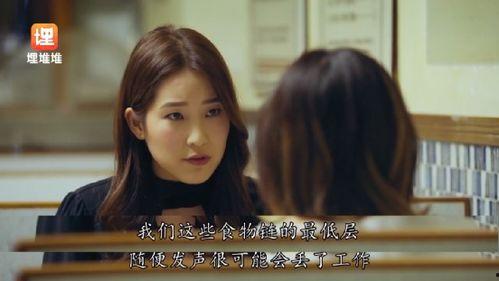 吃瓜进入娱乐圈后小说,一位吃瓜爱好者的明星之路