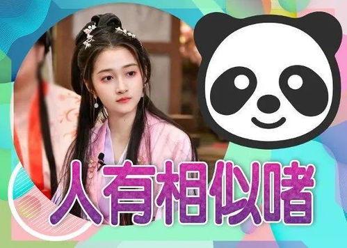 吃瓜进入娱乐圈后小说,一位吃瓜爱好者的明星之路