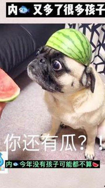 娱乐吃瓜酱宝宝是谁啊,网络红人的崛起之路