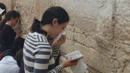 娱乐吃瓜君七七的视频,揭秘娱乐圈幕后故事