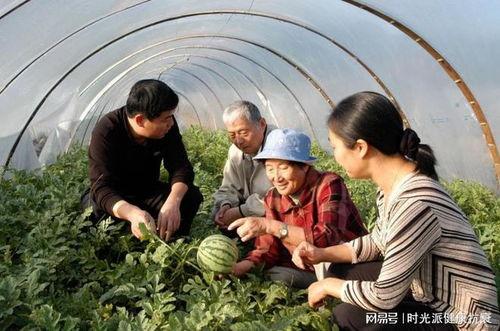 娱乐718.吃瓜王大炮,揭秘吃瓜王大炮的瓜界传奇