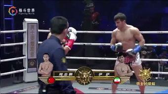 吃瓜娱乐拳击视频,吃瓜娱乐拳击视频大盘点