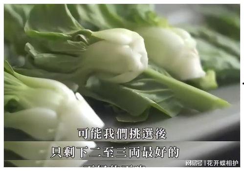 娱乐圈什么真瓜可以吃,那些你绝对不能错过的真实瓜料！