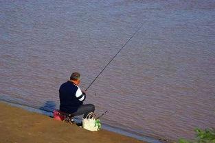 娱乐吃瓜钓鱼视频大全最新