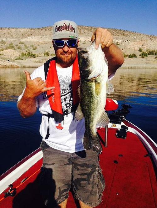 娱乐吃瓜钓鱼视频大全最新